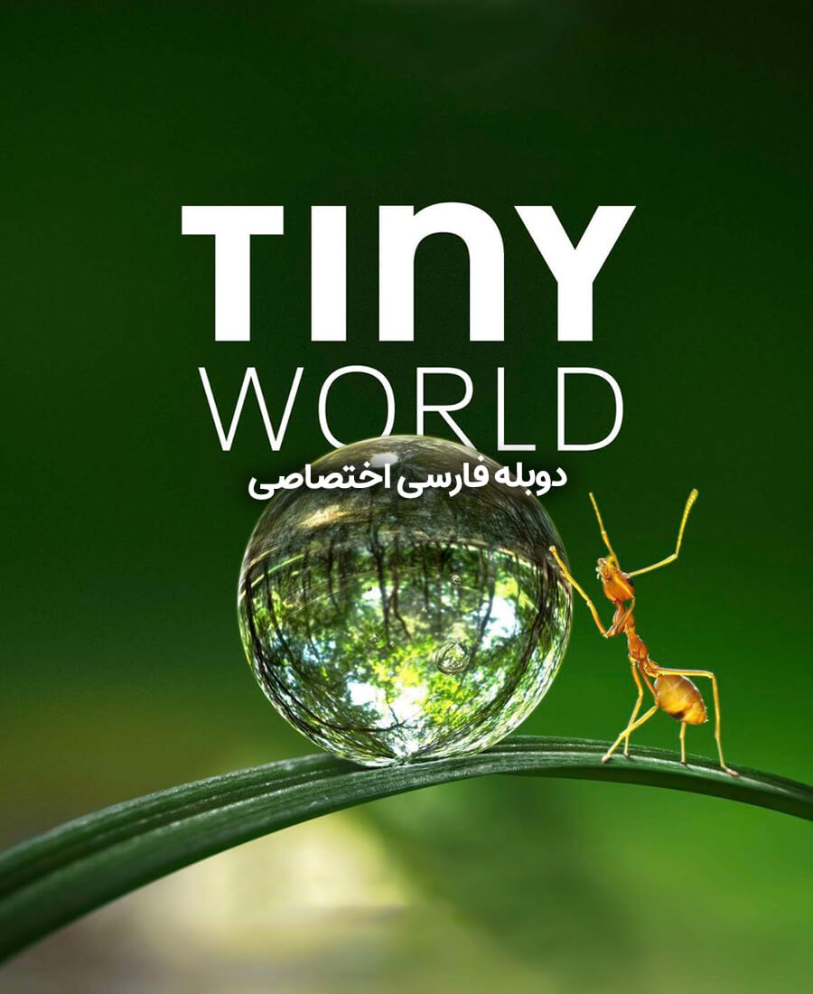 دنیای کوچک