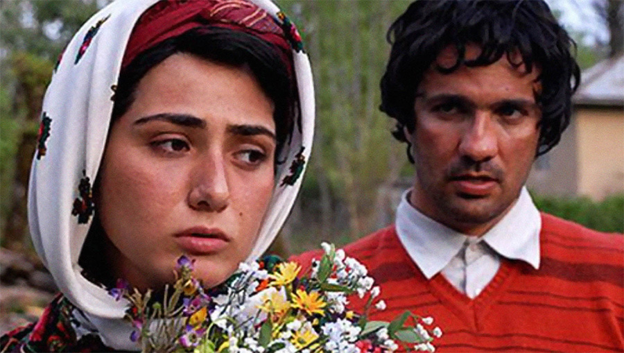 می زاک