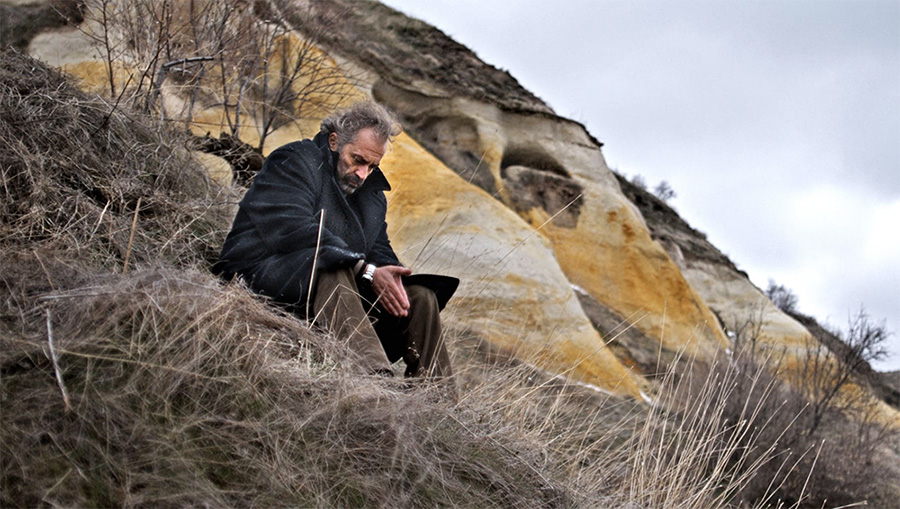خواب زمستانی