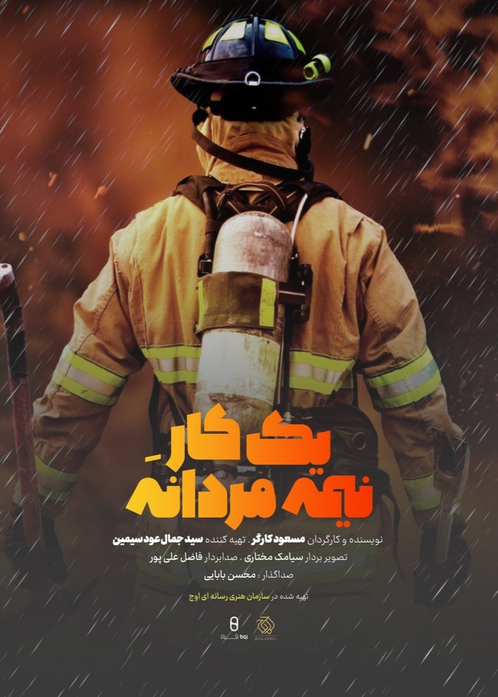 یک کار نیمه مردانه