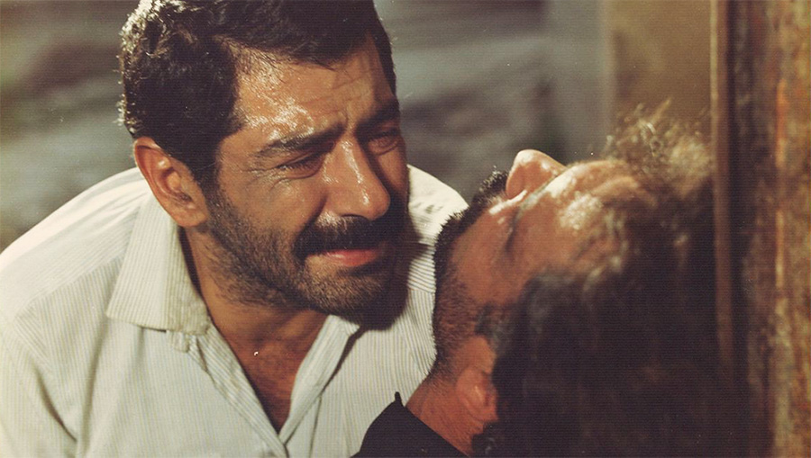 ریشه در خون