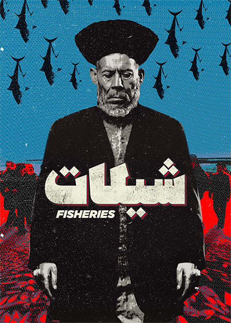 شیلات