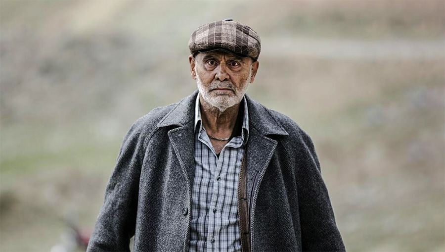 دارکوب