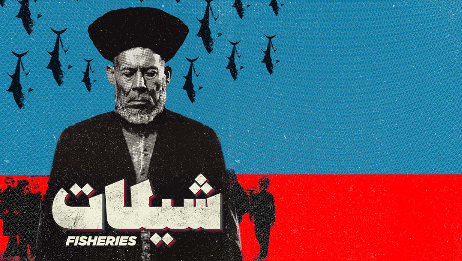 شیلات