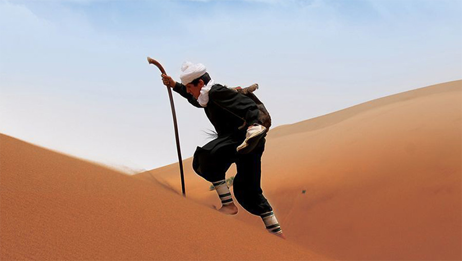 هامون و دریا