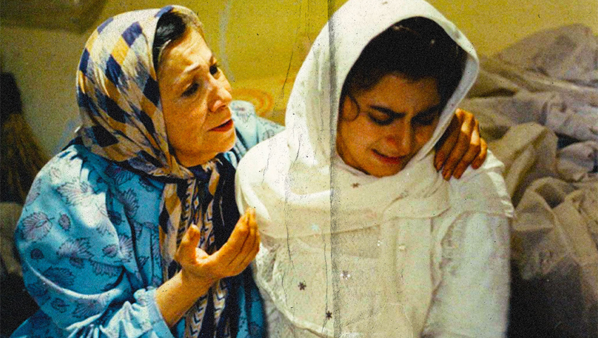 صنوبرهای سوزان