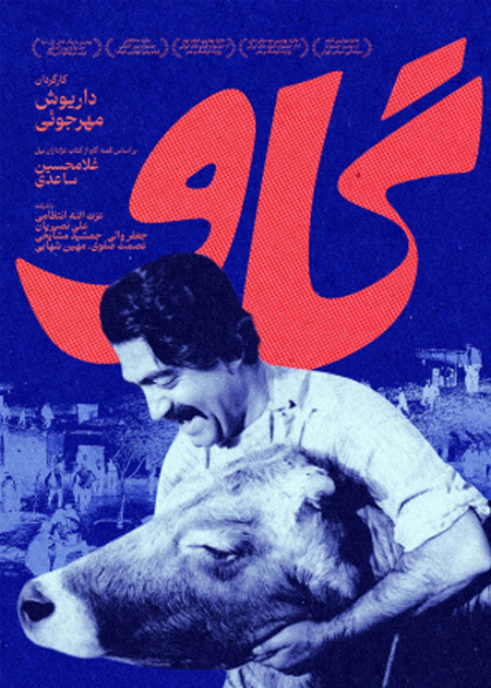 گاو