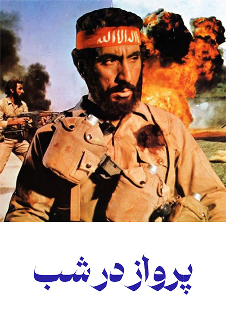 پرواز در شب