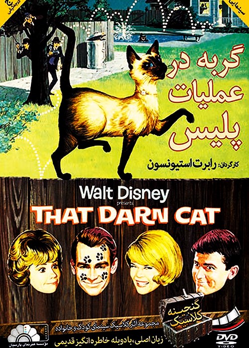 گربه در عملیات پلیس