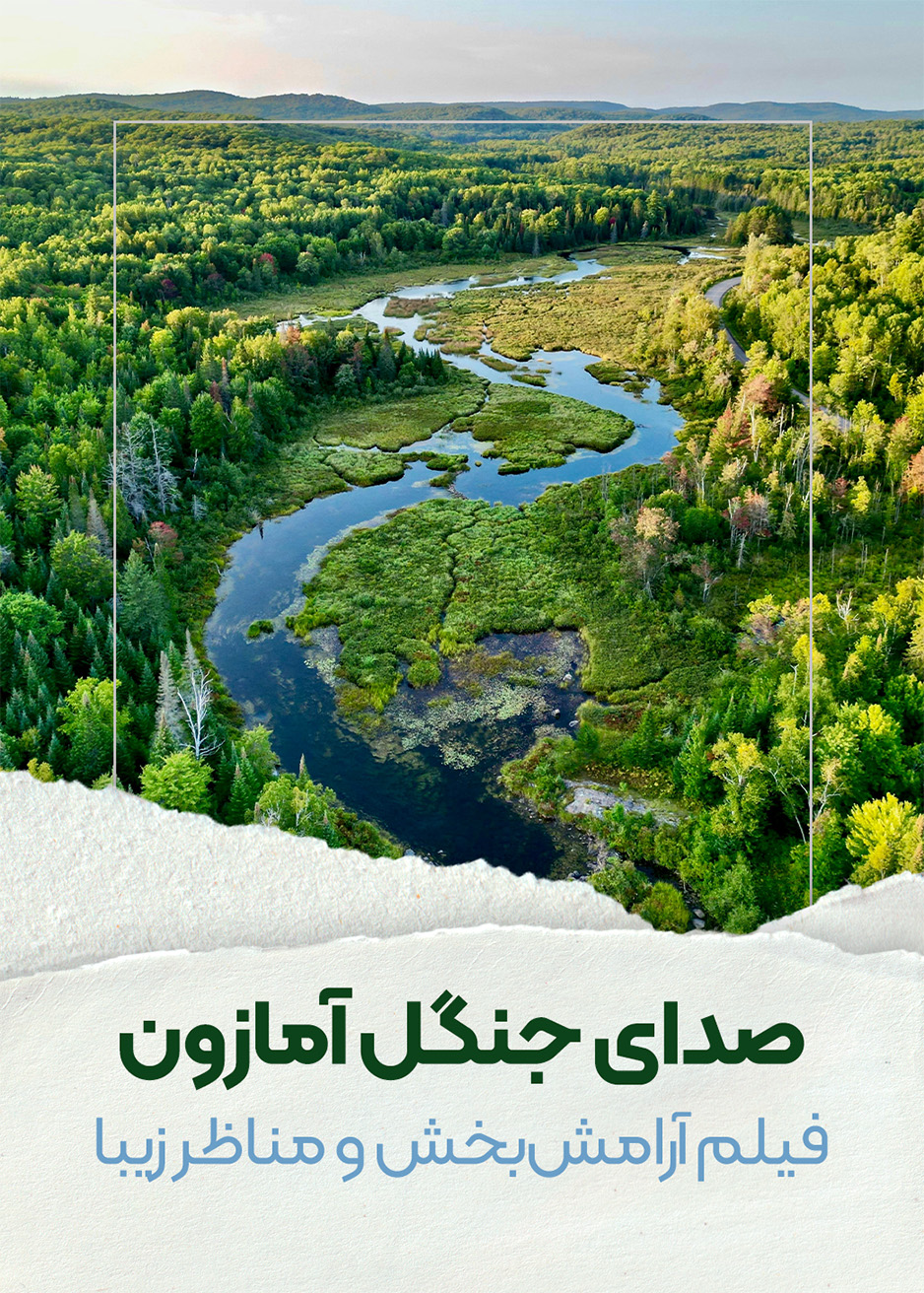صدای جنگل آمازون - آرامش‌بخش و مناظر زیبا