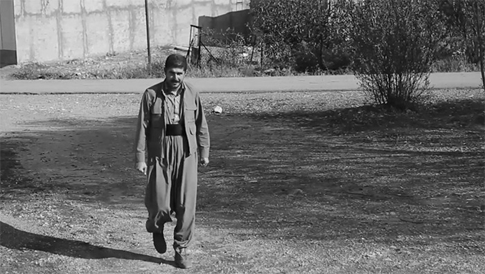 کاک سلیم
