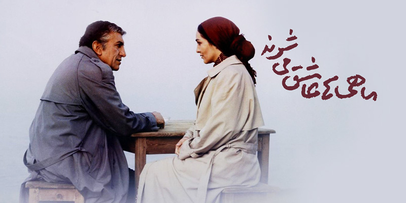ماهی‌ها عاشق می‌شوند