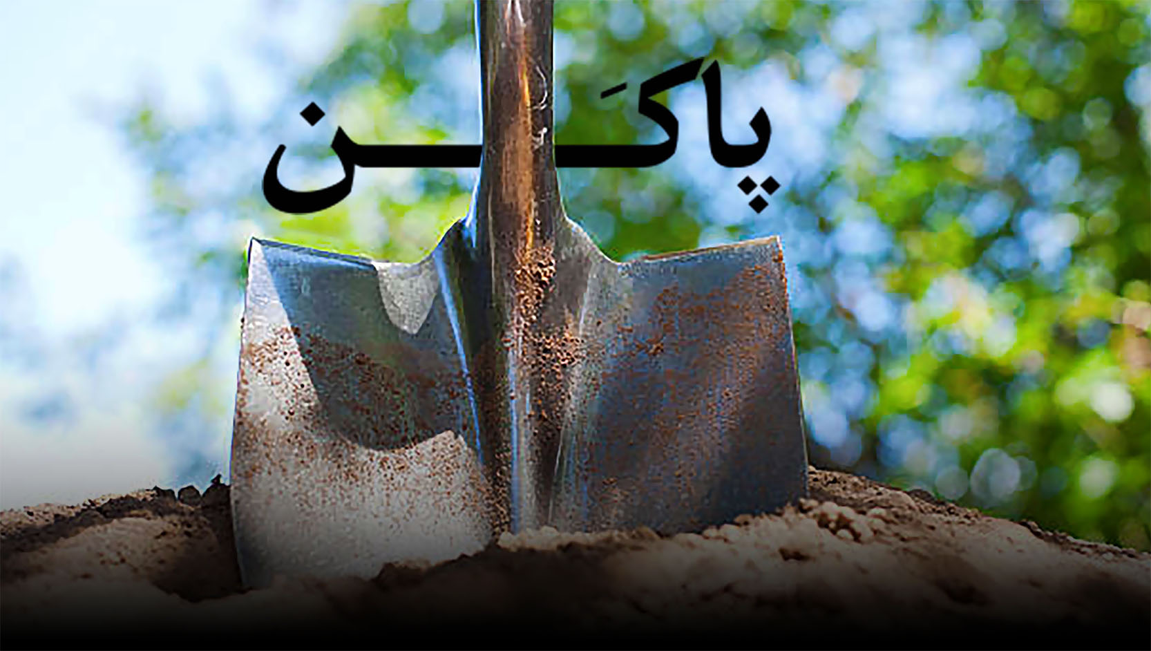 پاکَن