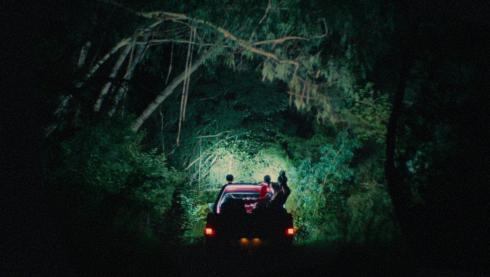 پرنده خوار