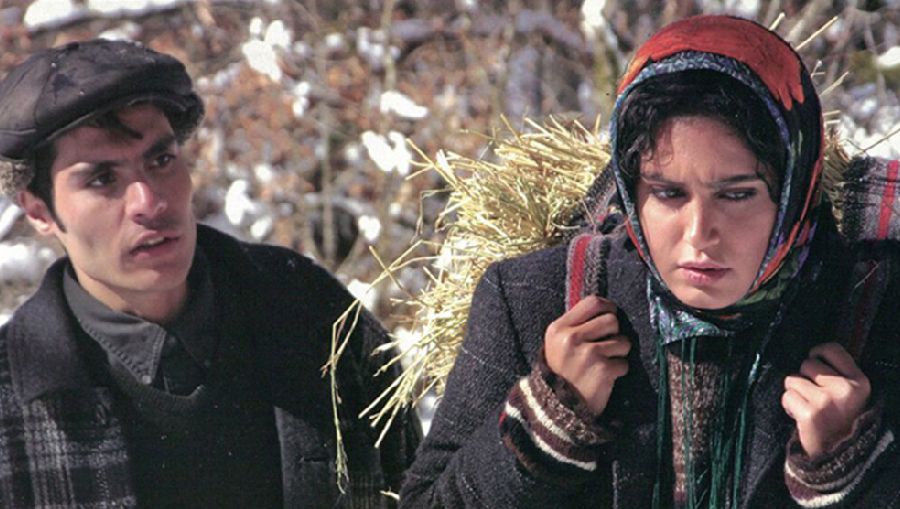 باد در علفزار می‌پیچد