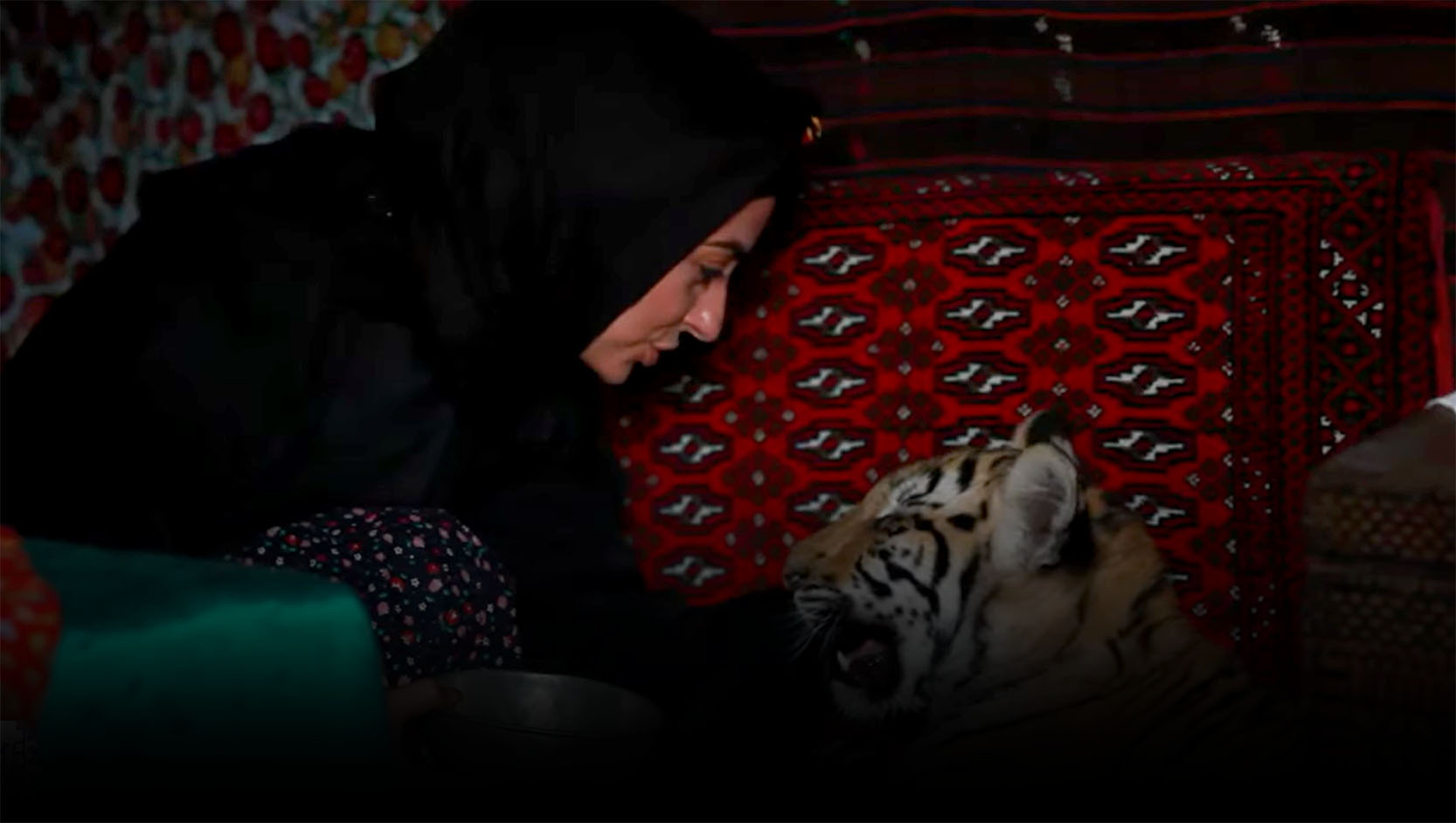ببر مازندران