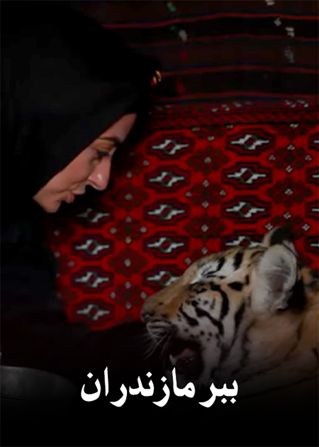 ببر مازندران