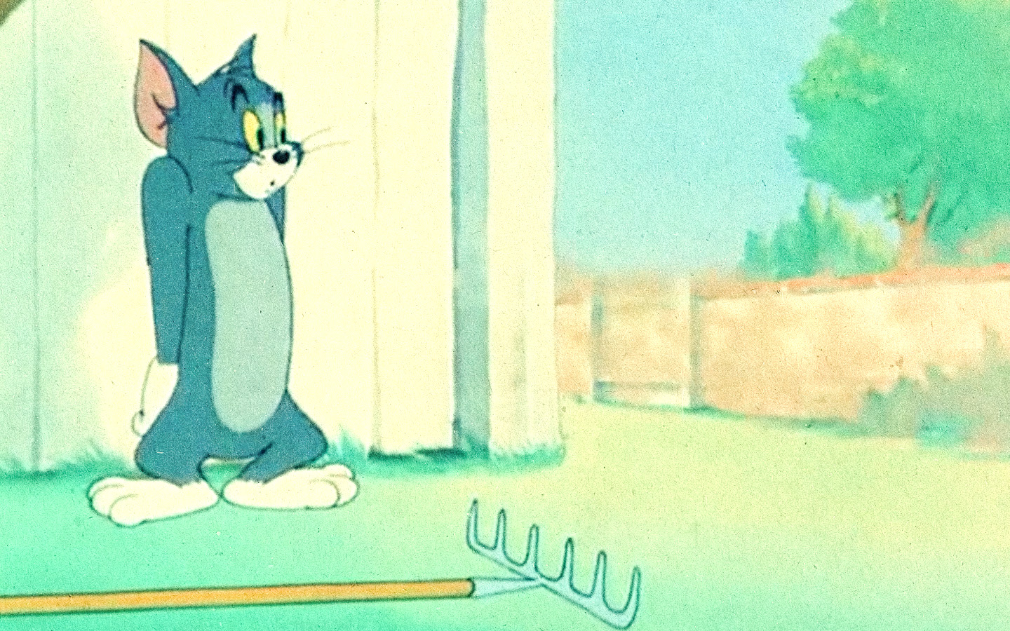 نمایش کمدی تام و جری - فصل 1 قسمت 51