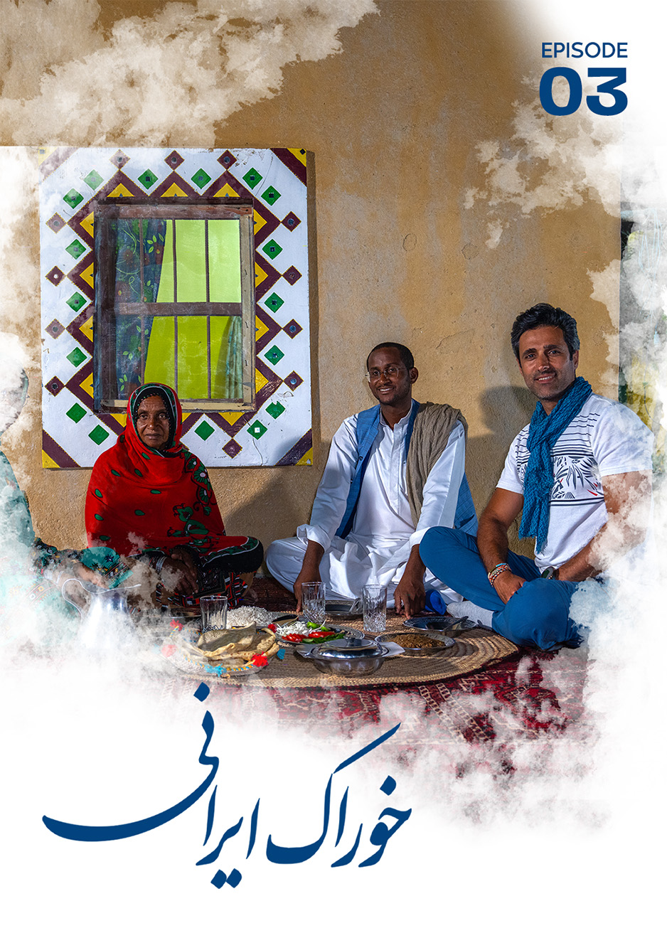 قسمت سوم ـ بریس