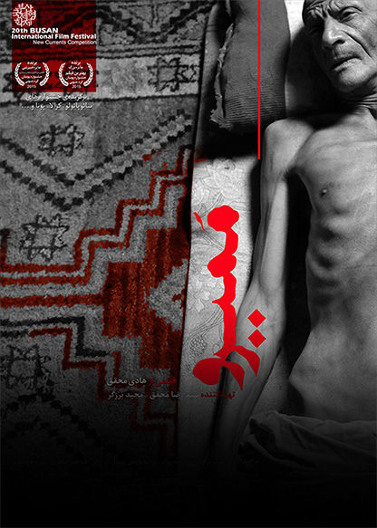ممیرو