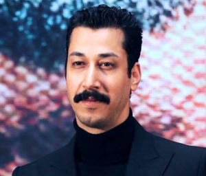 بهرام افشاری