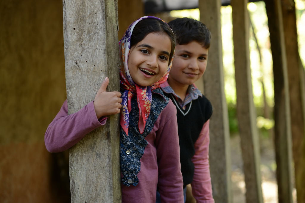 رویای سبز