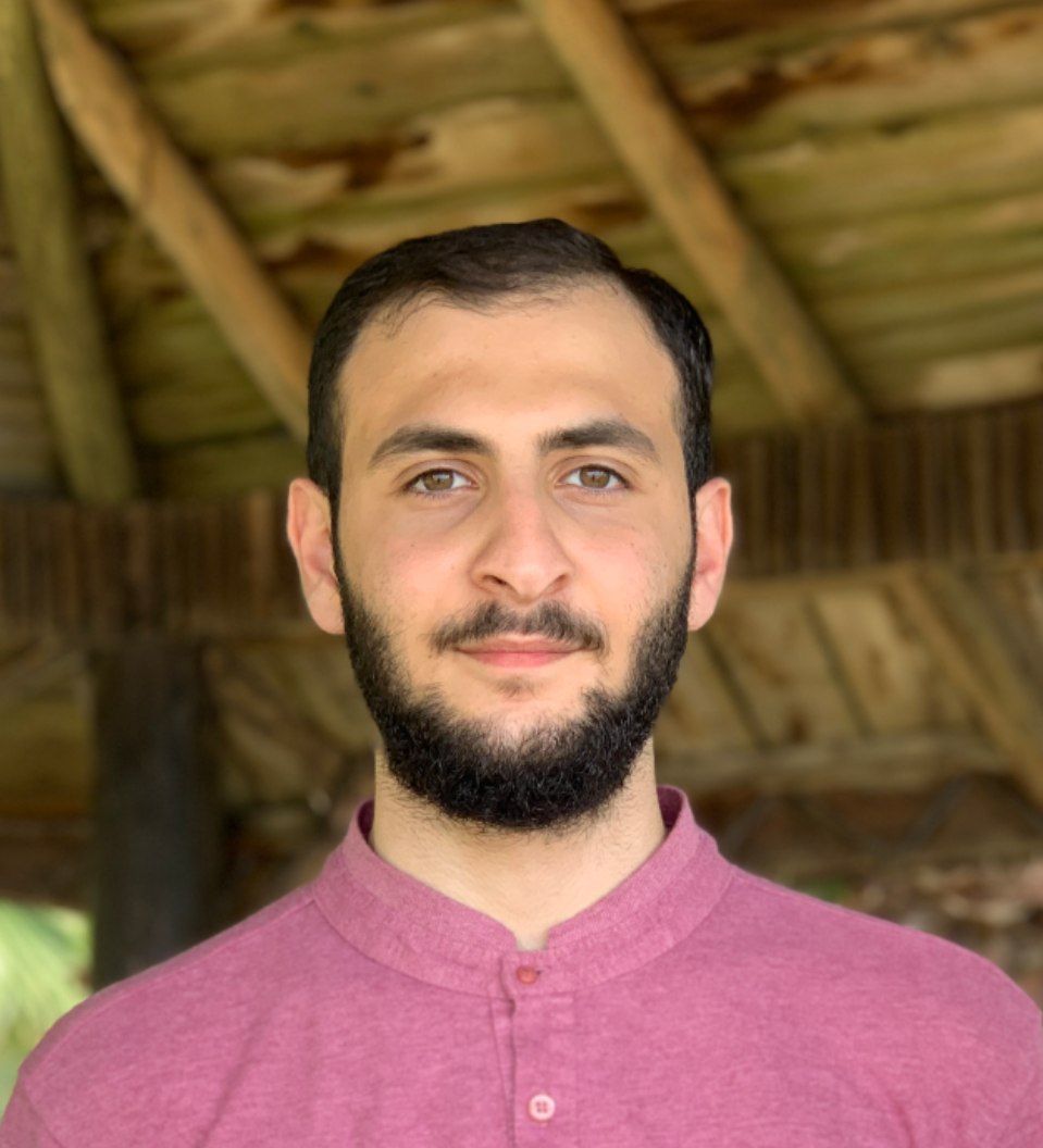 علی افضلی