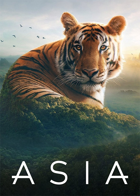 آسیا