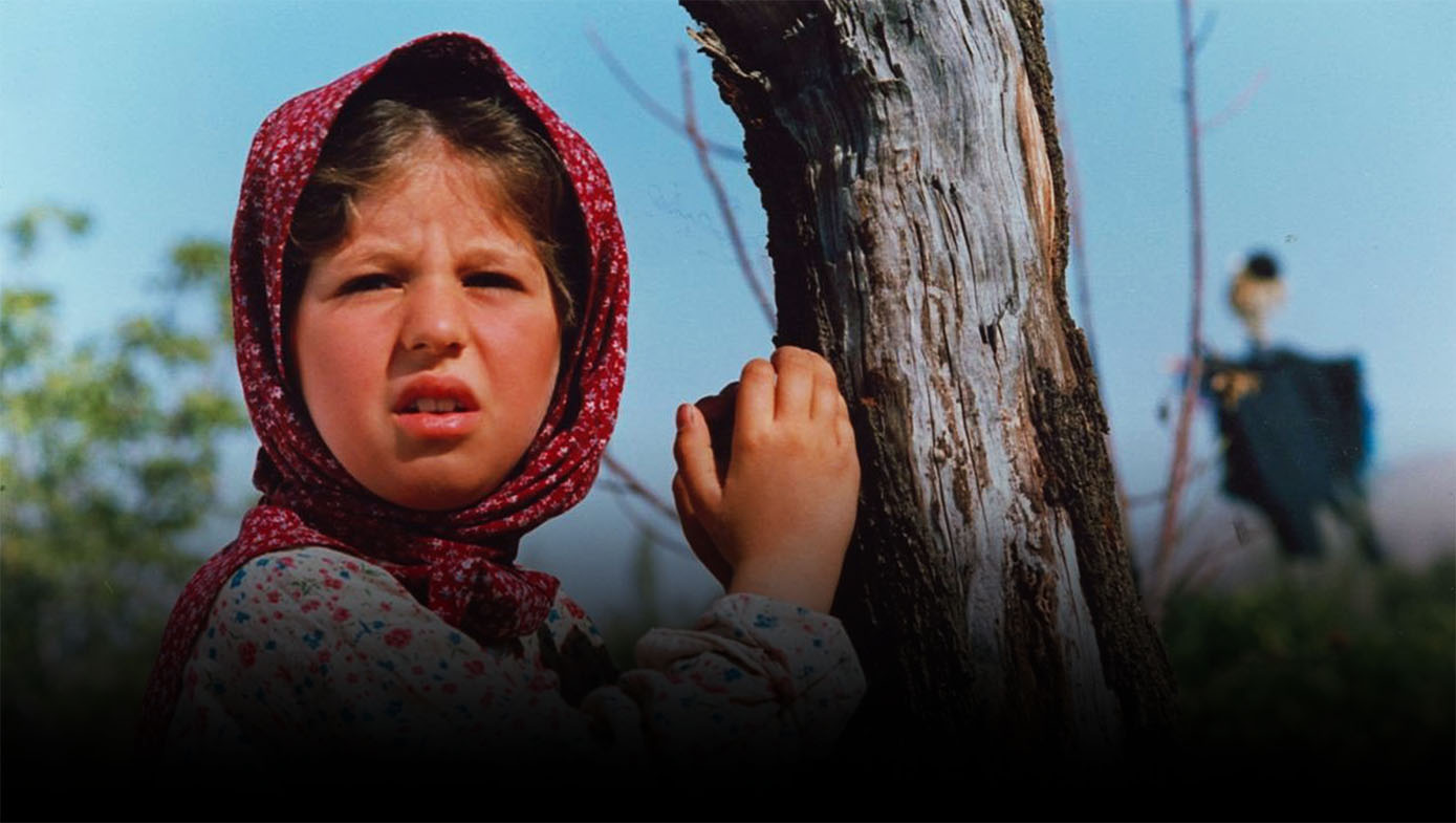 تولد یک پروانه