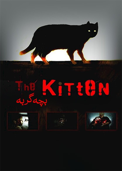 بچه گربه