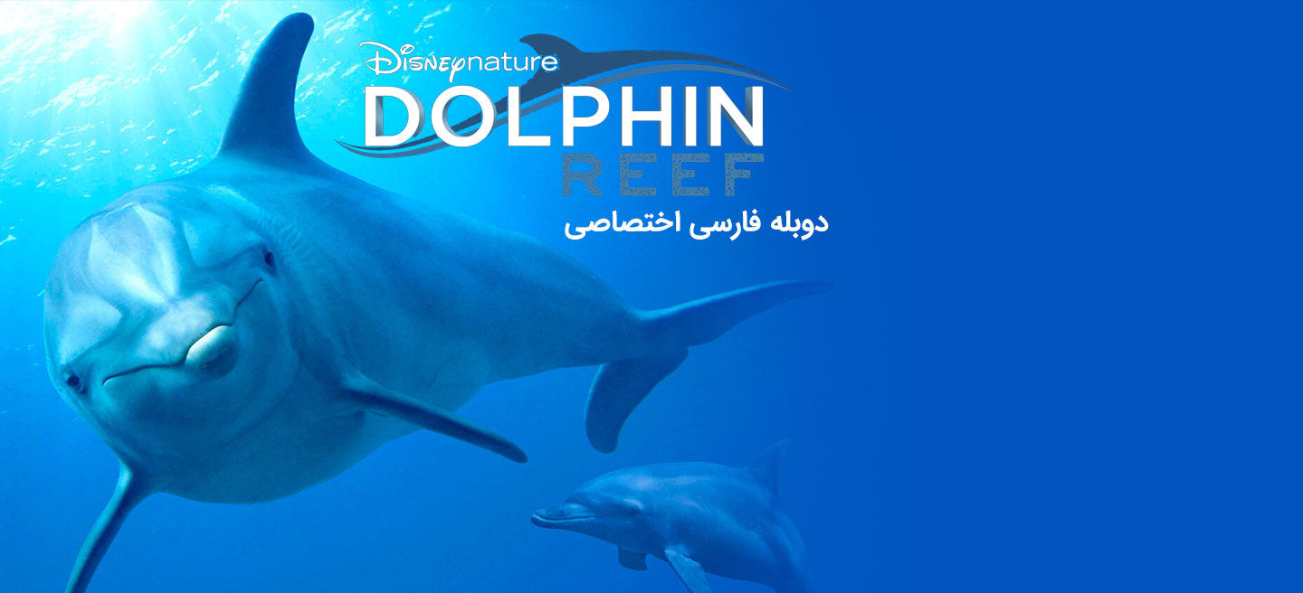 صخره دلفین