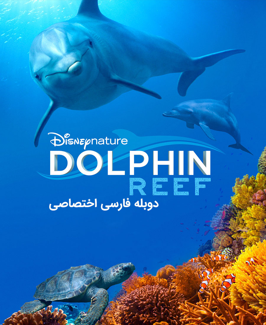 صخره دلفین