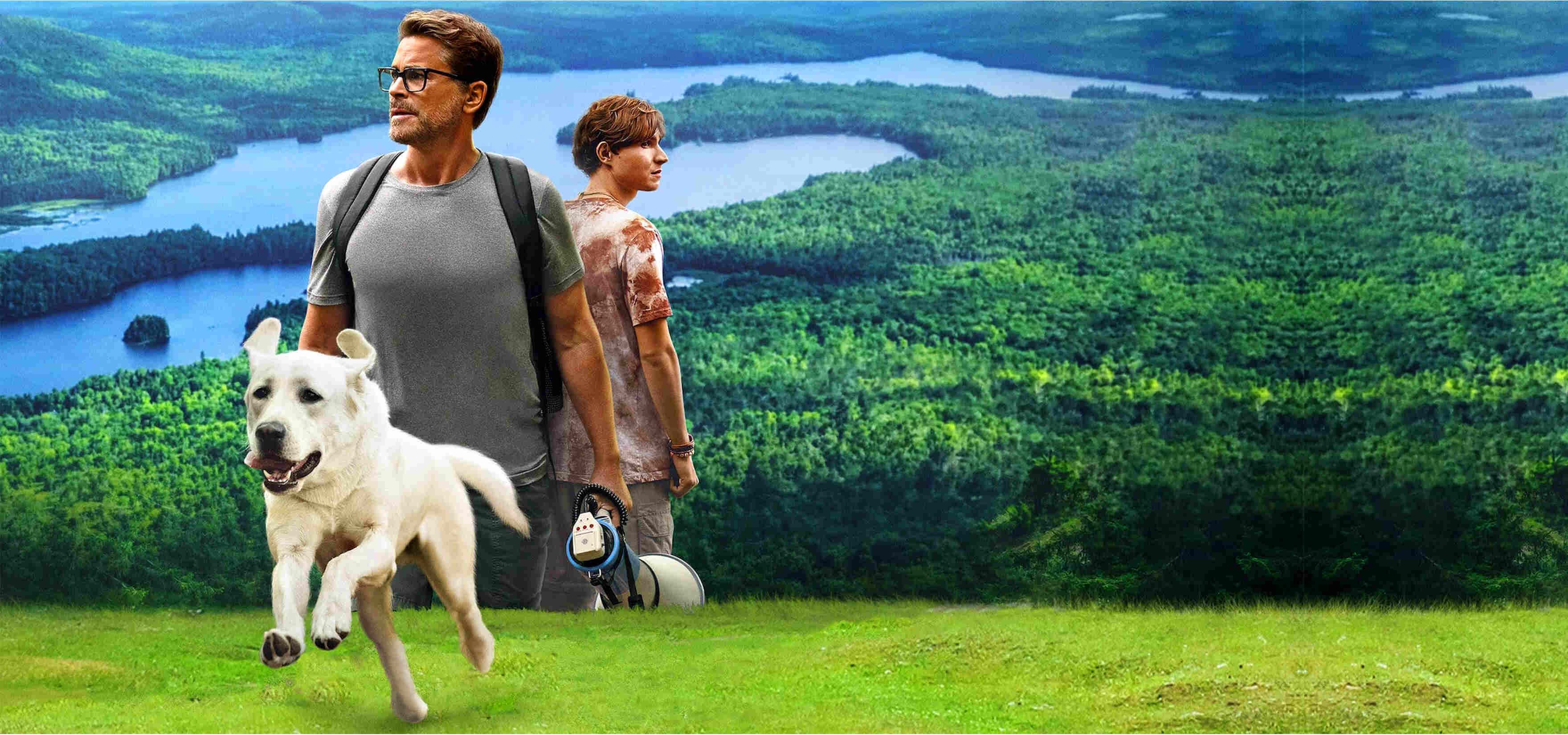 سگ گمشده