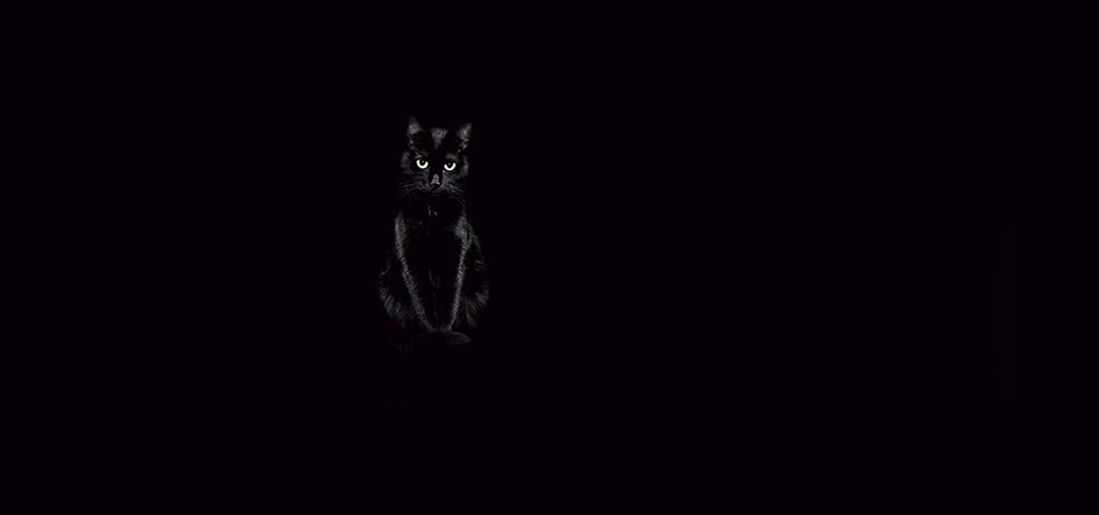حلقه فصل 01 قسمت 05
