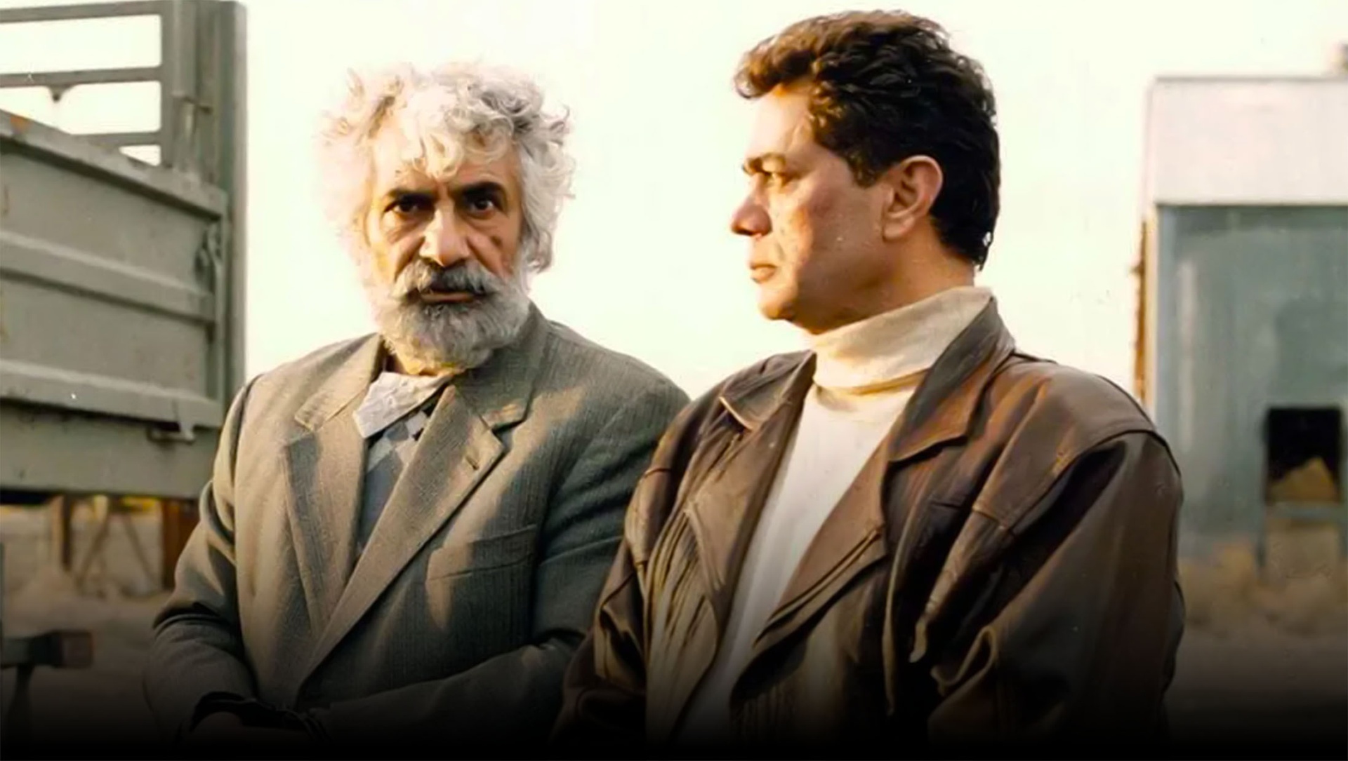 حرفه‌ای