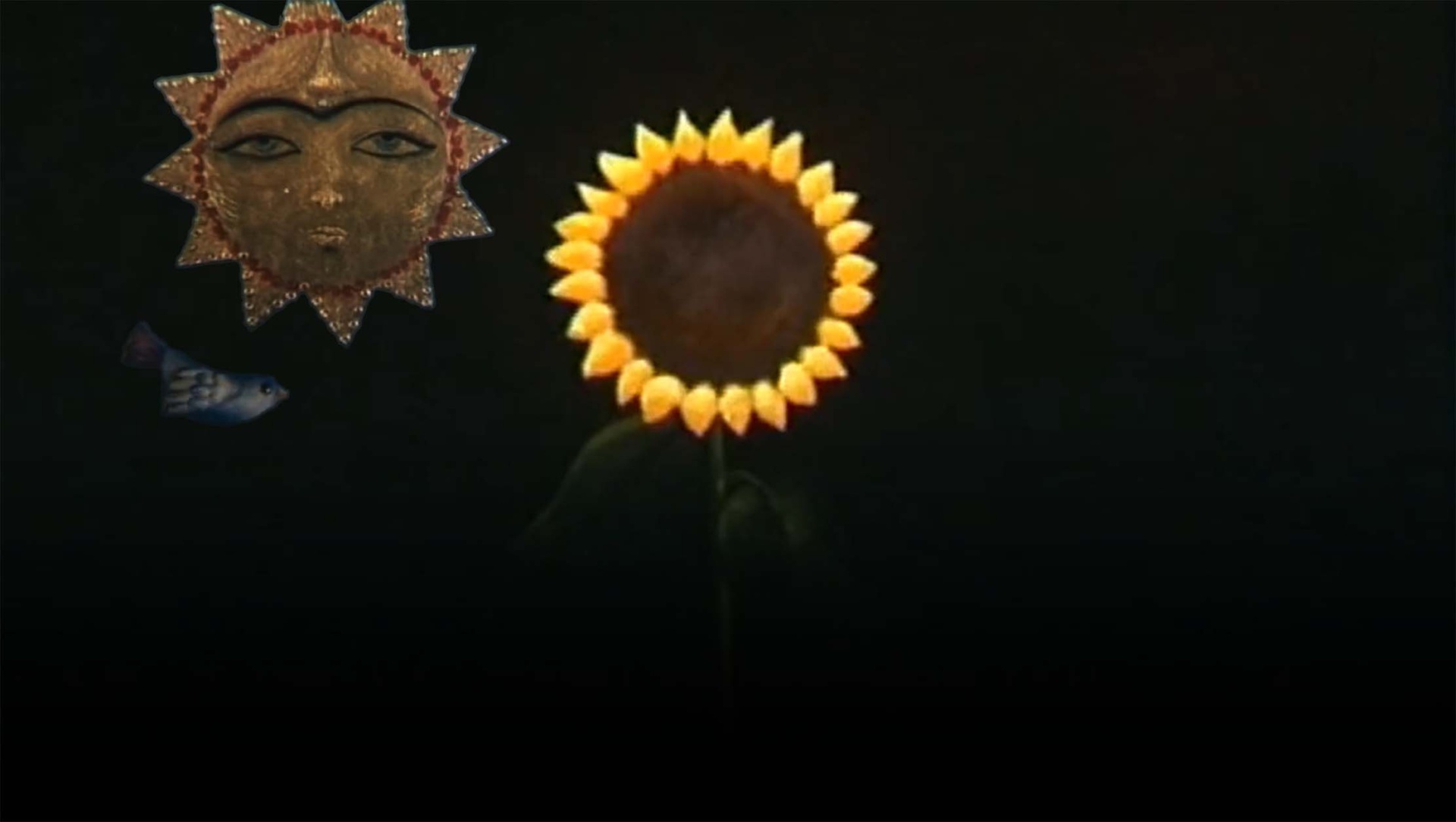 گل و پرنده و خورشید