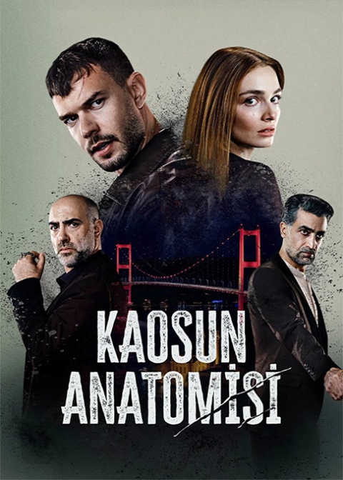آناتومی هرج و مرج